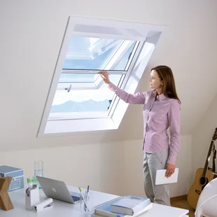 Dachfenster